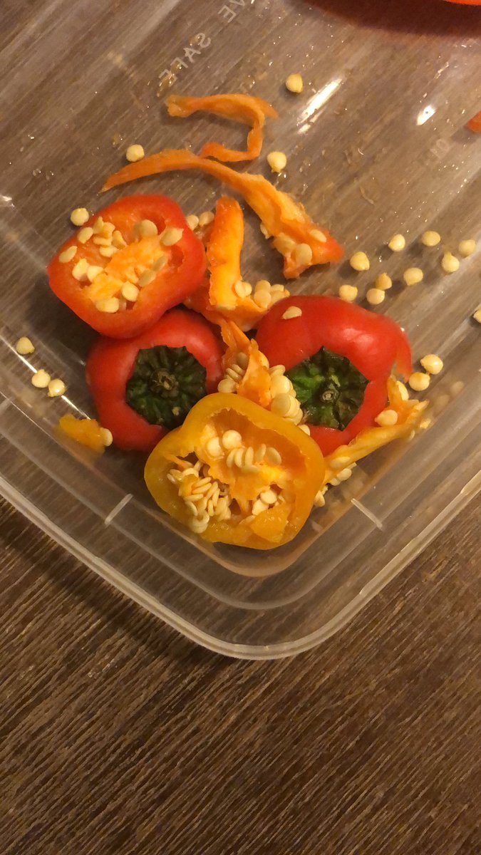 StefaniaTweets's tweet photo. Looked down from cutting peppers and saw this spooky guy! What should his name be? https://t.co/F24j80Dmwq