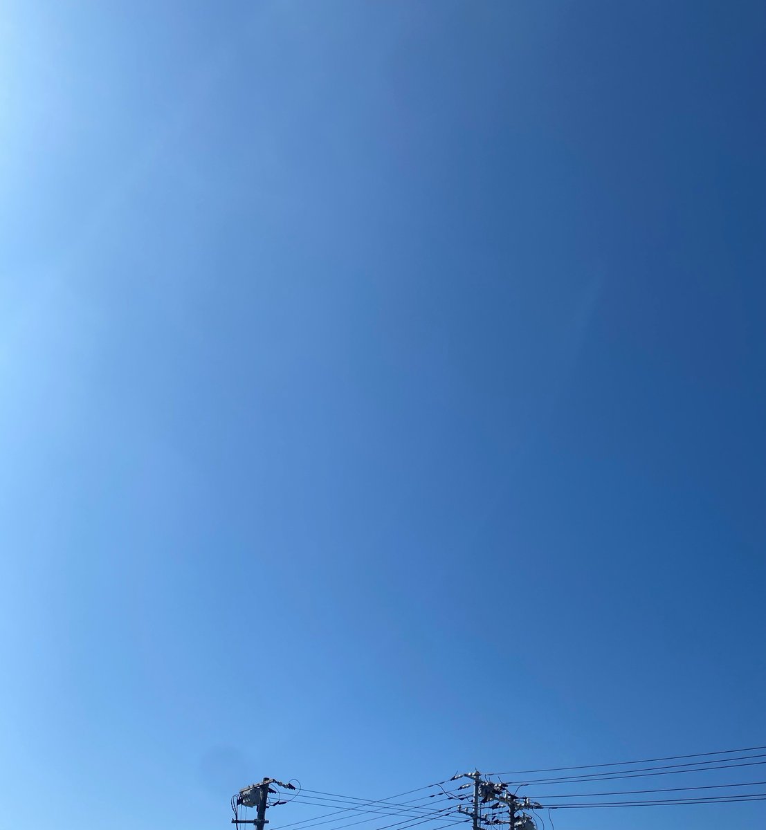 おはようございます☀️
週のスタートはハレ（快晴）ですね😁
今週もよろしくお願いします！！！
#企業公式中の人
#企業公式が地元の天気を言い合う 
#企業公式秋のフォロー祭り