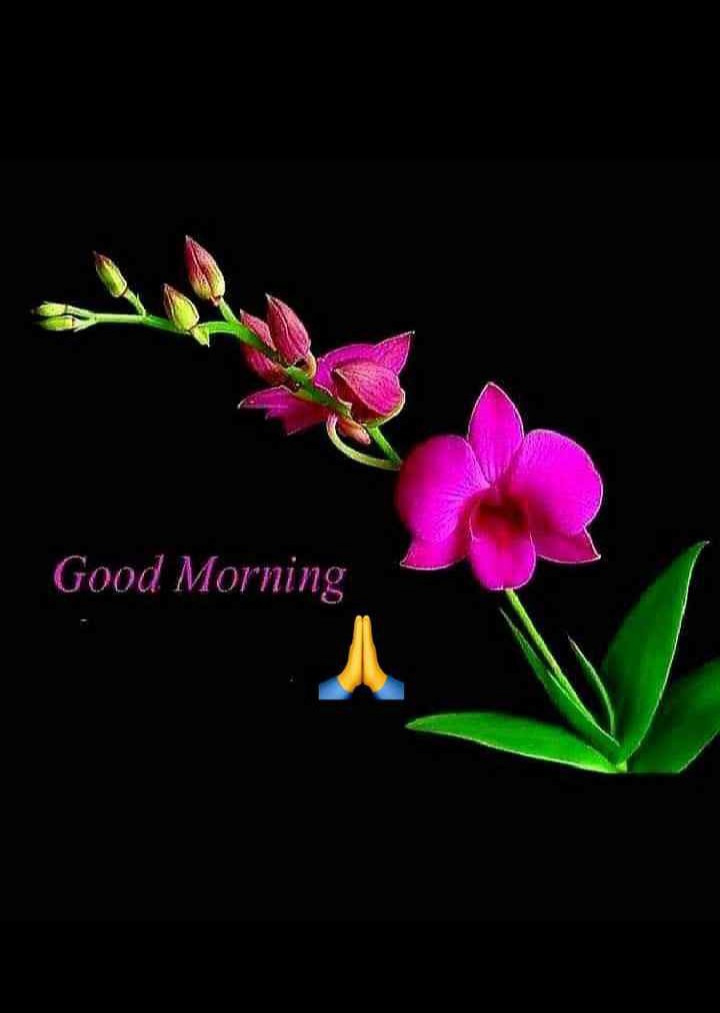 Chand Muhammad tweet media