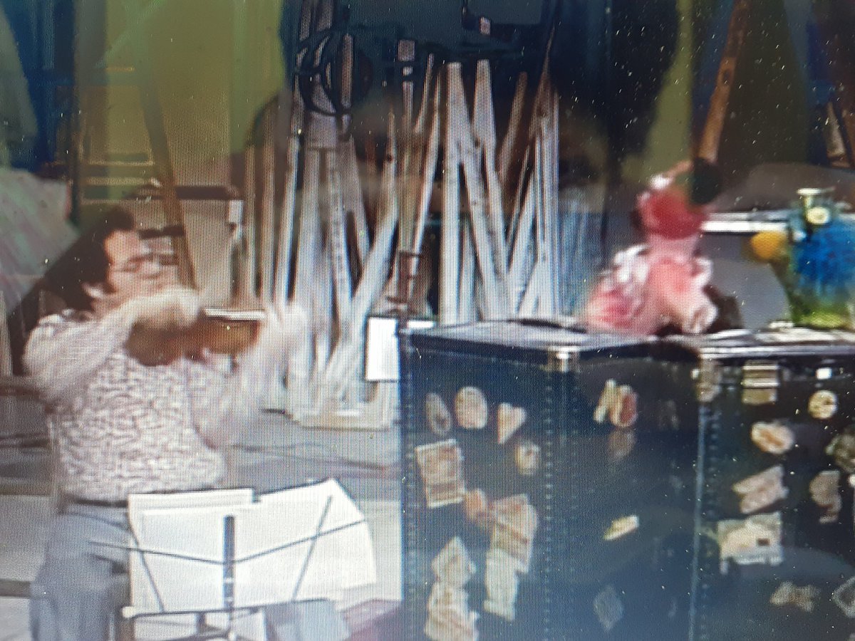 AlohaValz1's tweet photo. Placido flamingo it's Scott Perlman Hunker https://t.co/xViaF1DsEx