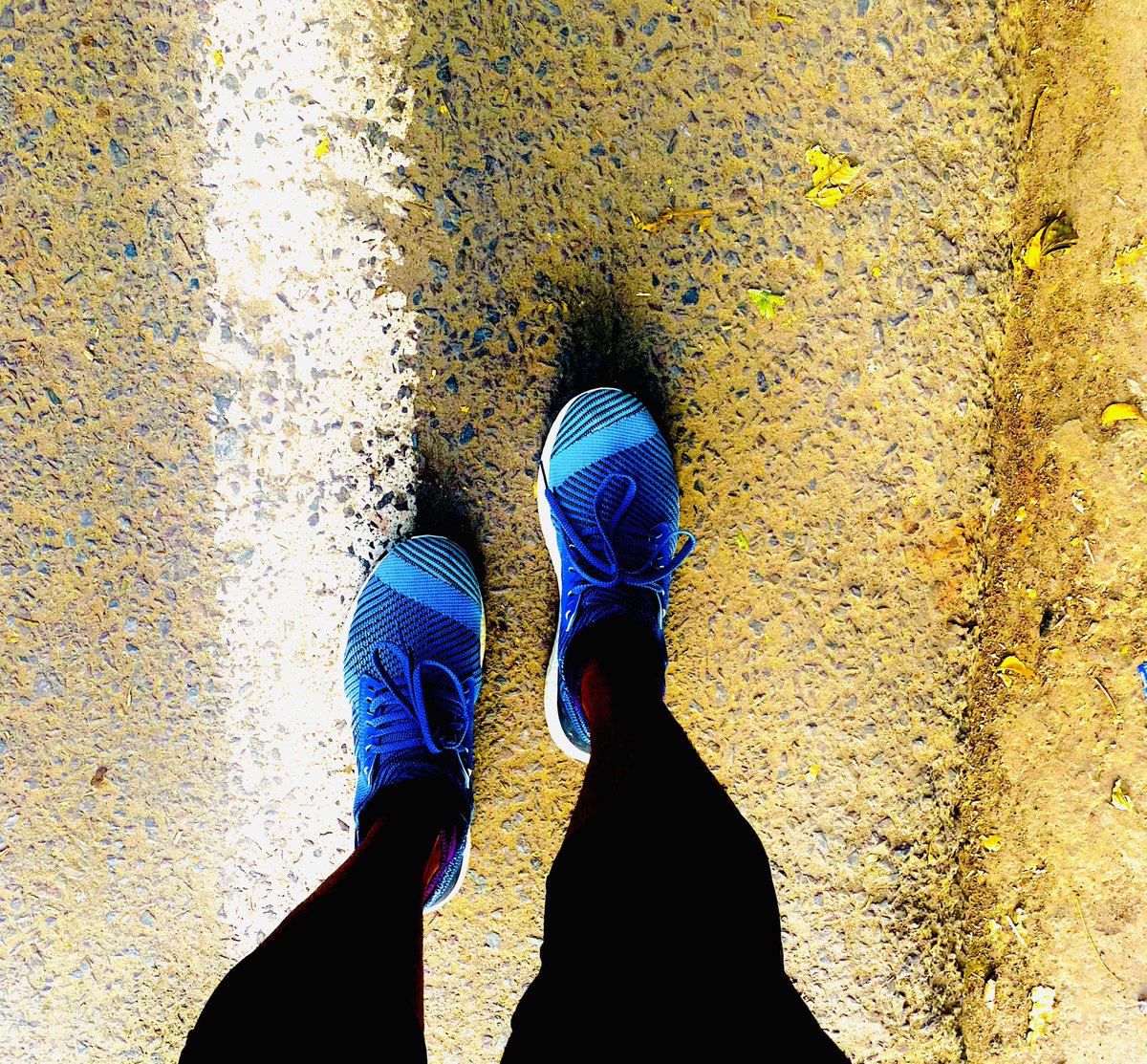 gopikanandu's tweet photo. 3km run ๐โโ๏ธ to start the week ( Day 2/week 1) #delhi #karolbagh #delhirunning #morningrun #marathontraining https://t.co/2biXlOChx7
