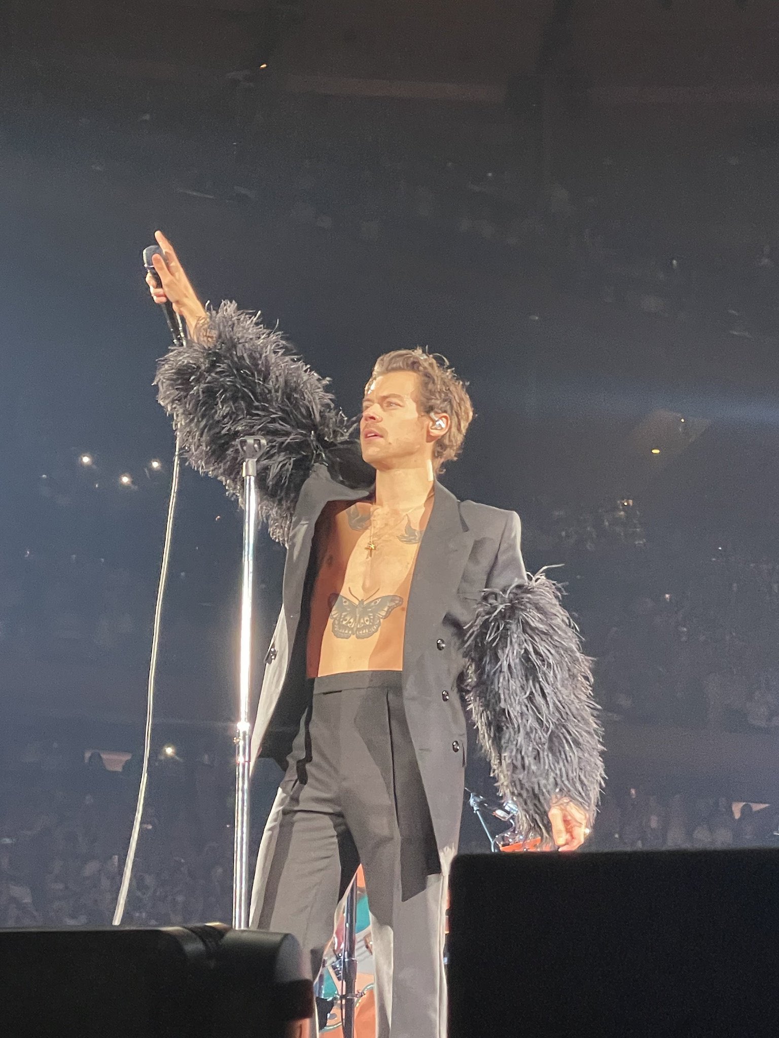 Harry styles hot sale sin camiseta