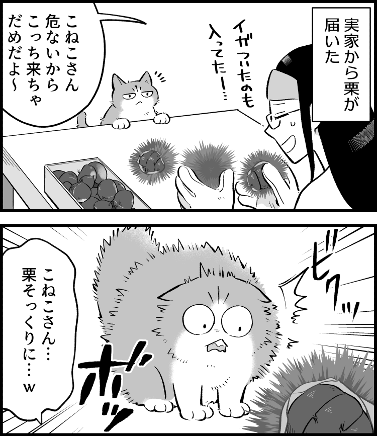 秋の味覚とねこさん。
--
ねこさんが聞いてくれない(清水めりぃ @zatta_shimizu )毎週月曜日更新。 #ヤメコミ #猫のいる暮らし 