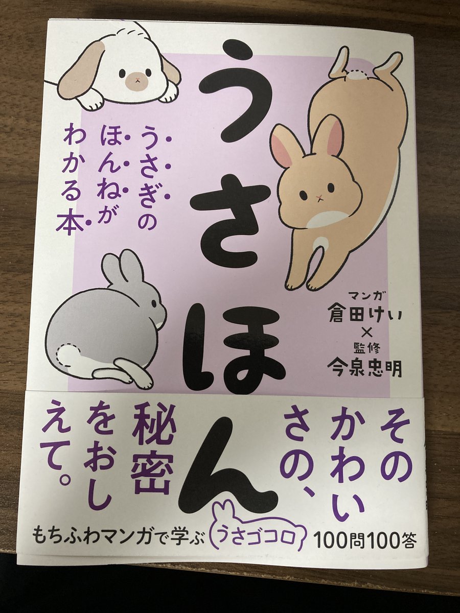 倉田けい(@kurata_kei)さんのうさほん!アレルギーがあるので動物を飼う縁はなさそうだけど、詳しく書かれている本で疑似体験…!シンプルなのに特徴をとらえたうさぎの絵、でも、倉田さんの絵だってちゃんとわかるのすごい

うさほん うさぎのほんねがわかる本
https://t.co/y1r468RmNh 