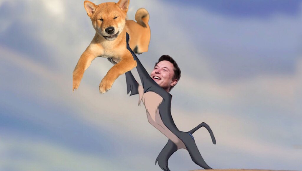 greg16676935420's tweet photo. @elonmusk Dogecoin to the mooooooon https://t.co/n7ECW0gFXj