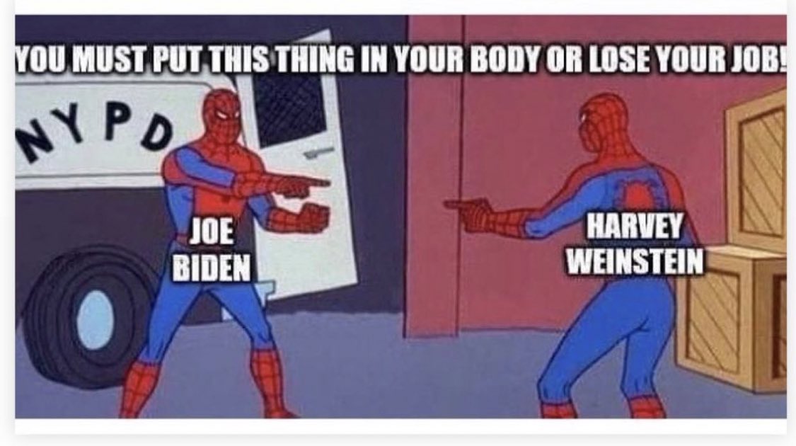 Gina Carano 🕯 (@ginacarano) on Twitter photo 