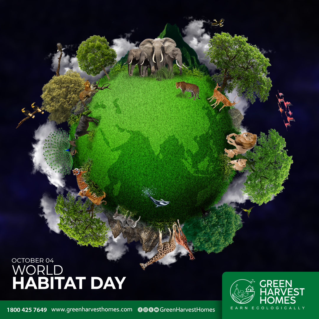 ghhomesworld's tweet photo. World Habitat Day

Homes are important as they are extensions of who we are.
#ghhagriculture #ghhomes #GreenHarvestHomes  
#ghhtourism #ghhtowerrestaurant #ghhenergy #ghhskywalk #ghhadventure #ghhhelipad #ghhmedicare #ghhtraining #ghhsolutions #ghhonline
https://t.co/bMv9IEygg4 https://t.co/HoU1tSrz9k