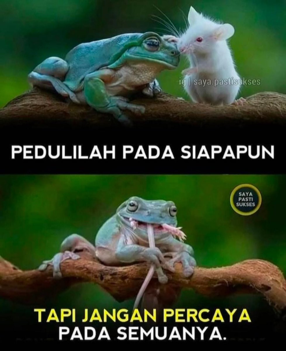 ti4nfu's tweet photo. Renungkan.... jangan mudah percaya, tapi jaga semua kepercayaan yg telah diamanahkan kepada kita. Sekecil apapun itu. Agree?
Salam pagi
#TFdaily https://t.co/S5JTPPI1WR