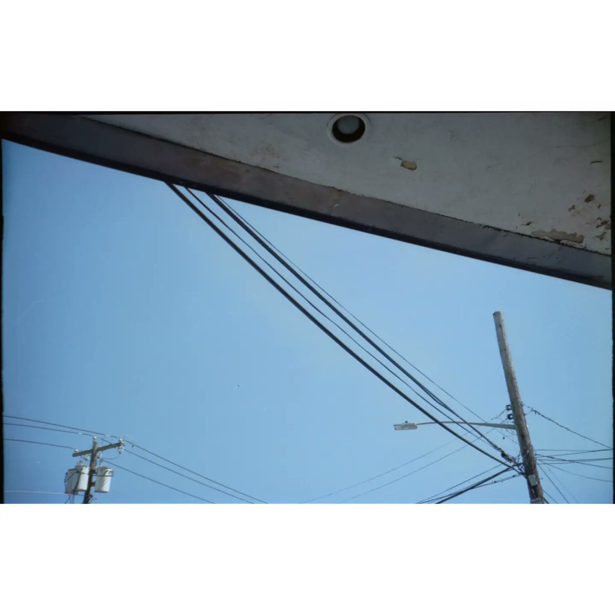 HelloTurkeyToe's tweet photo. lol "Canon Sure Shot Z180U" yeah right that's not a thing you made that up

wait what? i took these with one????

huh...

(shot on Kodak ProImage 100)
#filmphotography #shootitwithfilm #analogphotography #kodakeproimage100 #madewithkodak #shootfilmbenice #believeinfilm https://t.co/59pD6WBo94