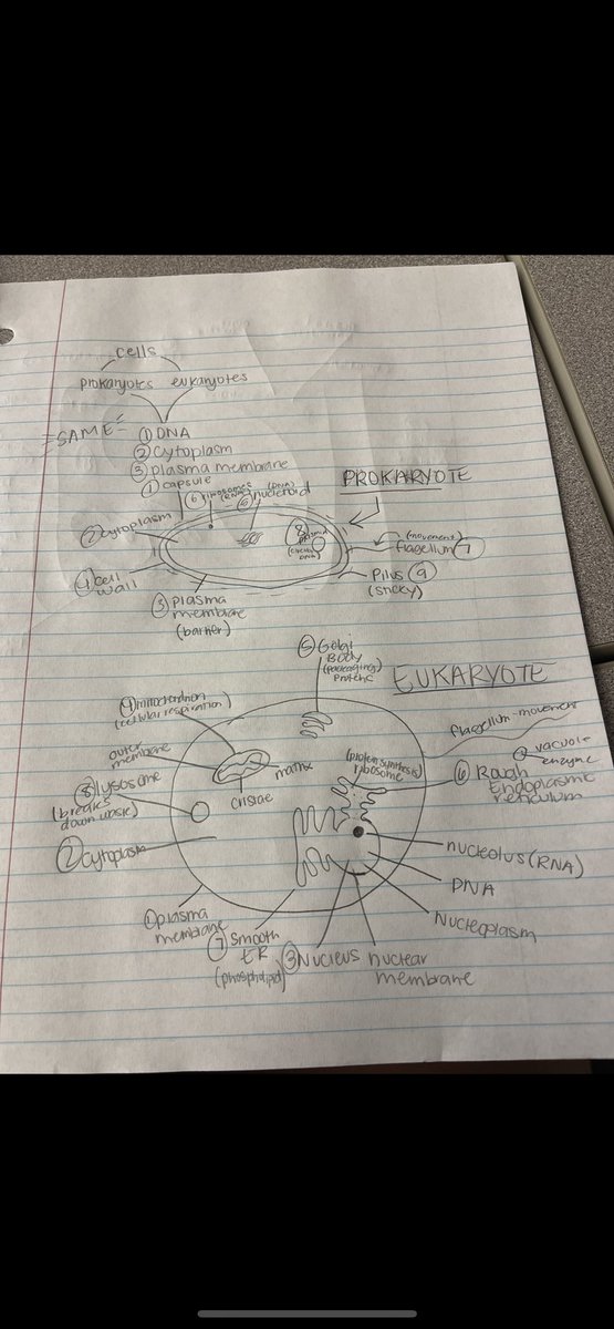 kaseybr639's tweet photo. Bio review!! @MMCBiology #111 #twitterpoints https://t.co/QPuEZRMo3N