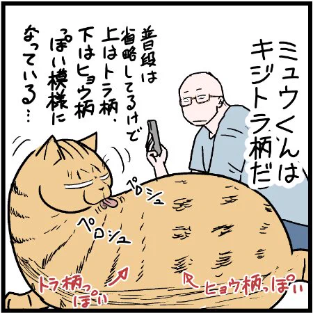 ミュウくんの模様って・・・w #にゃんこ #まんが #マンガ #4コマ漫画 #四コマ漫画 #猫 #ねこ部 #ねこ #猫あるある #猫漫画 #ペット #飼い主 #ねこらぶ #エッセイ漫画 #みんねこ #キャット #ねこのいる生活 #猫ばか #にゃんだふるらいふ 