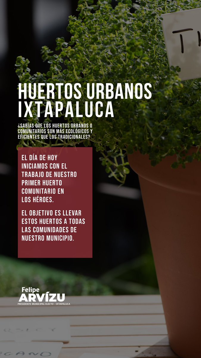 FelipeArvizu_'s tweet photo. Iniciamos con la instalación de huertos urbanos en #Ixtapaluca y con esto además de mejorar la calidad medioambiental y alimentaria, se capacitará a los ixtapaluquenses en actividades de horticultura.
#FelipeContigo #FelipeArvizu #MorenaVa #La4TAvanza https://t.co/BmhZyV9rm0