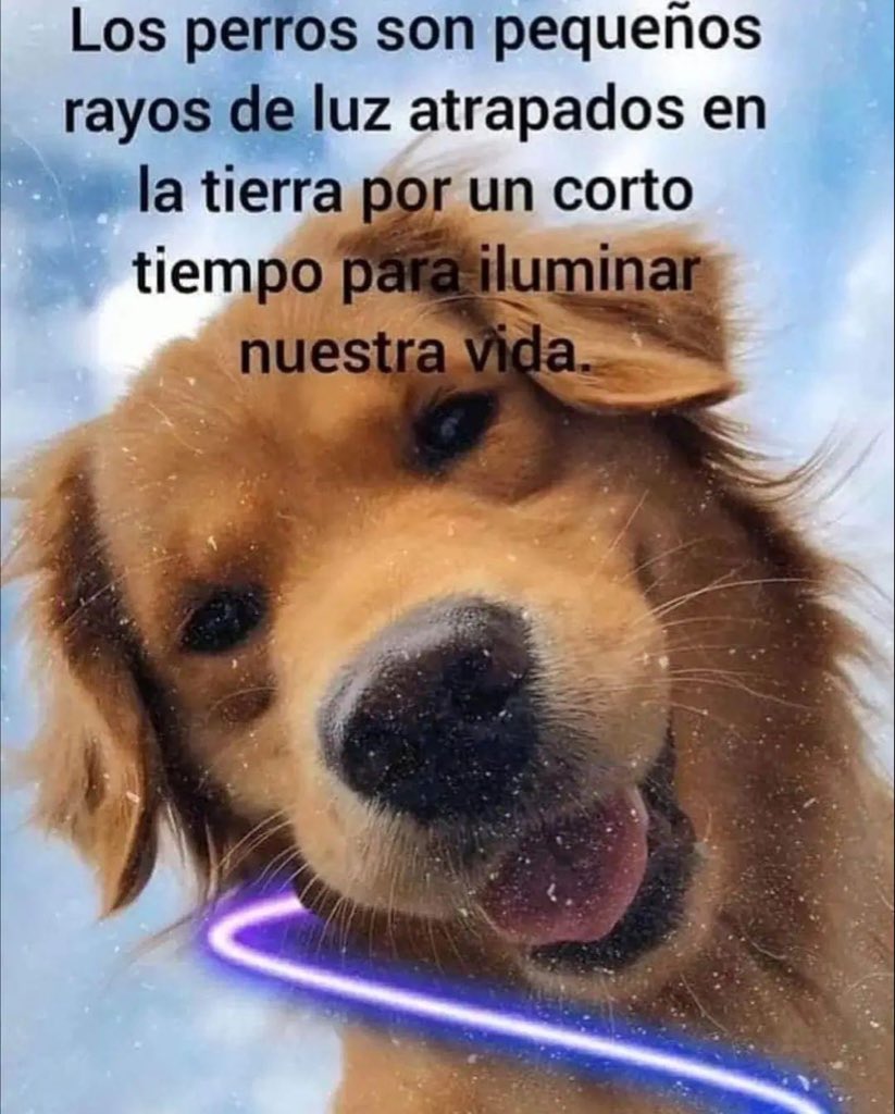 Sí son 🥺