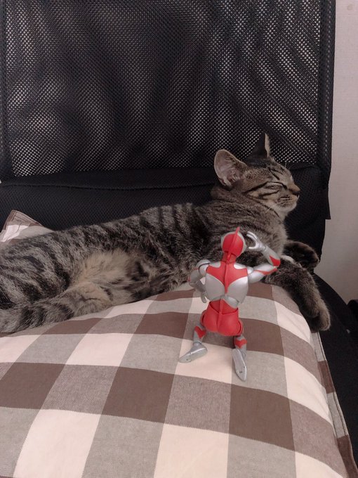 画像まとめ Ultraman 6ページ目 アニメレーダー