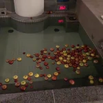 マナーを守って入浴しよう!温泉旅館のりんご風呂イベントでリンゴを握り潰す等しないでください…