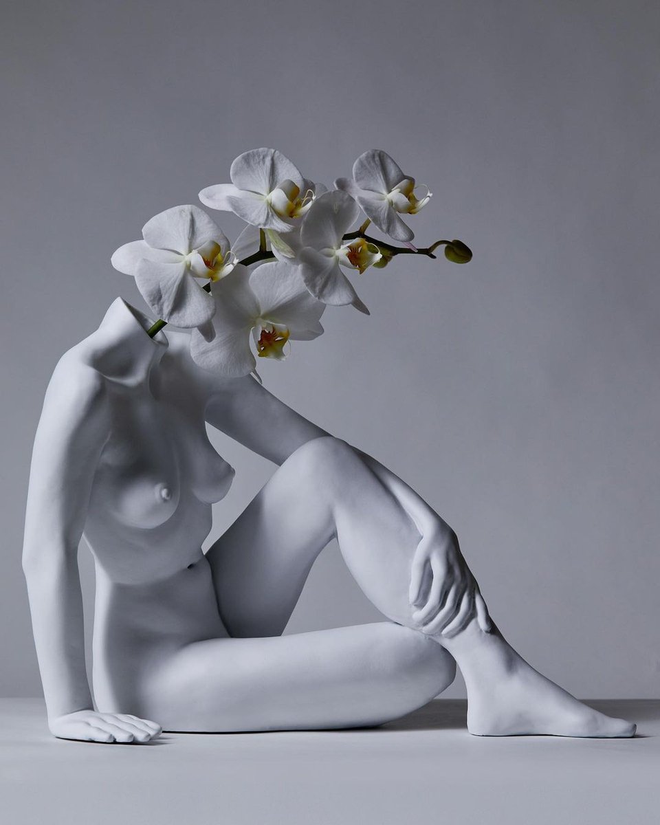 Academia Aesthetics tweet media