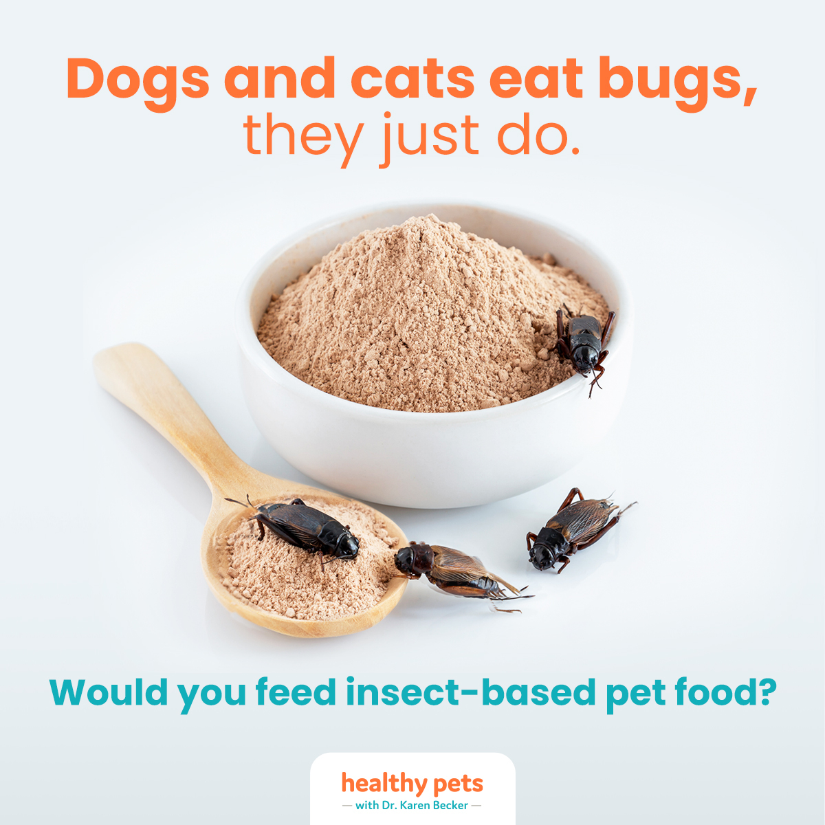 Dr. Karen Becker on Twitter "Insectbased pet food has been gaining