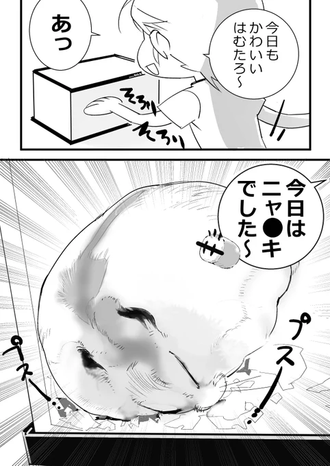 ハムスターいつも顔つぶして寝てる#ハムスター漫画 