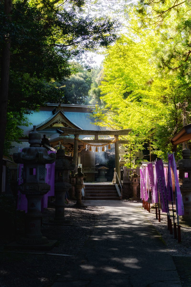 茨城県日立市-泉神社-