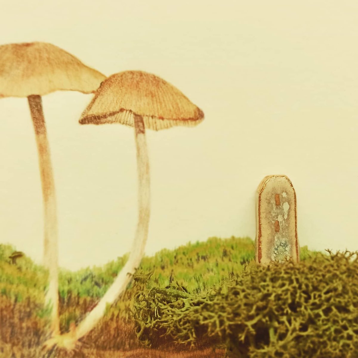 endlessdewdew's tweet photo. What if you shrunk to those fungi size or even small enough to live in this tiny house? I believe you can experience more about this world. 

#色鉛筆画 #色鉛筆アート #色鉛筆画家 #WomensArt
#diffuseroil #sketches #colorpencilart
#illustrationartists
#Wisdom #quotes #fungus #fungi https://t.co/nPSXB7JKEc