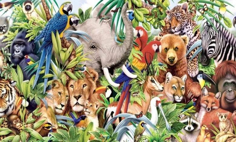 نحتفل ب #اليوم_العالمي_للحيوان رفعاً لمكانة الحيوانات، من أجل تحسين معايير رعايتها في العالم والرفق بها، ولجعل بلدان العالم مكاناً أفضل لجميع الحيوانات. منها من غادرنا بالانقراض دون رجعة أبداً، ومنها من هو مهدد بالانقراض، الأمر الذي سيخلُ بالتوازن الطبيعي بكل تأكيد.
ارحموهم!