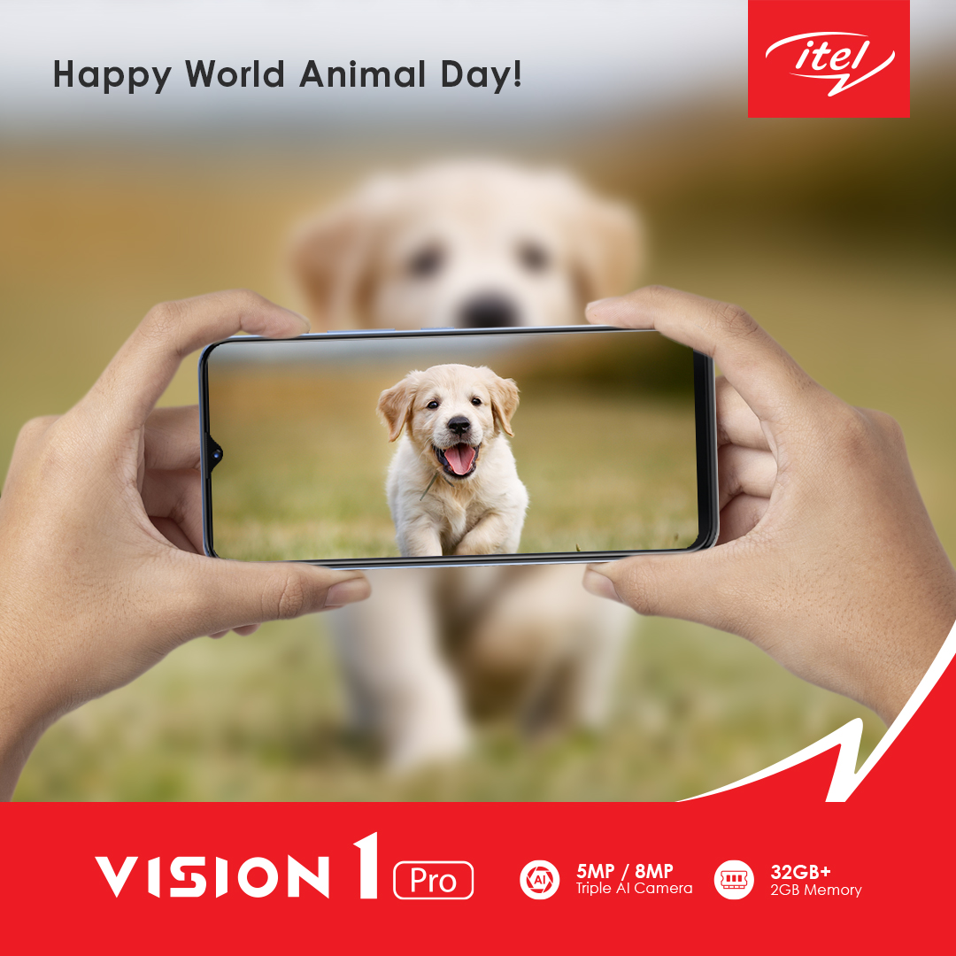 itel_SA's tweet photo. Capture your pets most adorable moments on the Vision 1 Pro Triple Cam๐ฅฐ
#Vision1Pro #ShareYourVision #ThePowerOfVision #itelMobileSA #TheJoyOfConnecting https://t.co/jYCoiSirWA