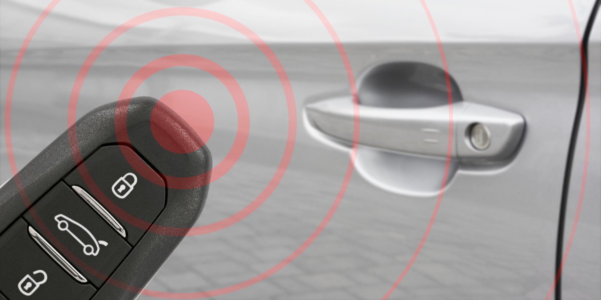 Hippo Motor Group tweet media