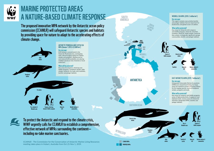 WWFespana's tweet image. 🔴La #Antártida, en peligro 🇦🇶🔴

Cambio climático, contaminación, minería submarina o pesca ilegal. Desde @WWF_Antarctica reclamamos en @CCAMLR1 ampliar ya la superficie marina protegida.

#ProtocoloDeMadrid

@mitecogob 
@Teresaribera
@sanchezcastejon
@ClimateEnvoy
@VSinkevicius
