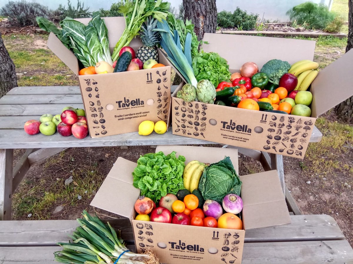 latavella's tweet photo. Vols rebre #fruita i #verdura ecològica #adomicili cada setmana? 😀 Des de La Tavella t'ho posem molt fàcil! Subscriu-te a les nostres cistelles i rep cada setmana fruita i verdura #ecològica, de temporada i de la màxima proximitat!  🍊🥬🥕🍅🍏

👉 https://t.co/M9YC6c2nb3 https://t.co/RKCAwFM37F