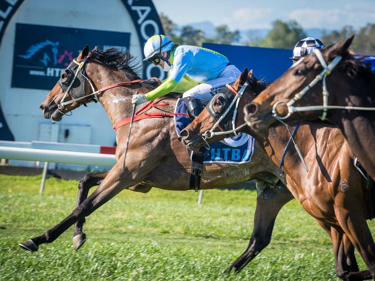 Another winning double today at @thebrookracing for the team @madelineowen84 steered the very talented Winside home in Race 2 before @brooke_stower booted the last winner home for Paul Perry 
@SchmetzerRacing @perry_racing1 @nswjockeys Congratulations to all the connects involved