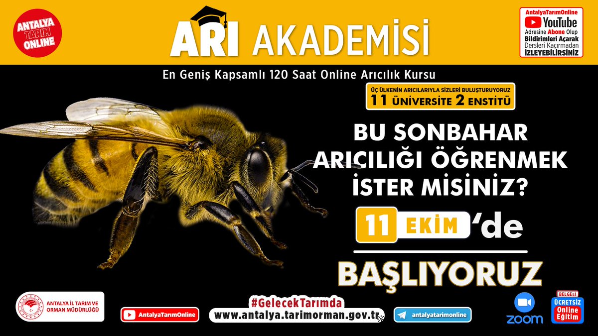 antalyailtarim's tweet photo. BU SONBAHAR ARICILIK ÖĞRENELİM

#Türkiye, #Azerbaycan ve #ABD'den önde gelen arı hocalarıyla derinlemesine 32 oturum A'dan Z'ye online

 #ArıAkademisi başlıyor

#GelecekTarımda
#TarımAntalyada

Kayıt için;
https://t.co/b4LKnT2p7F

@gokhankaraca_ @ersinyazici1 @bekirpakdemirli https://t.co/lqYzZA3Tfk
