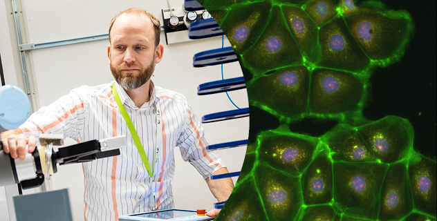 Farmaceutiska fakulteten (@ffakulteten) on Twitter photo A GIANT leap for Swedish pharmaceutical research 👉 With the recruitment of <a href="/ola_spjuth/">Ola Spjuth</a> and his robotised lab at @UU_University, national infrastructure CBCS takes a strategic step in implementing #AI in Swedish #lifescience 👉 ilk.uu.se/faculty-of-pha… A GIANT leap for Swedish pharmaceutical research 👉 With the recruitment of <a href="/ola_spjuth/">Ola Spjuth</a> and his robotised lab at @UU_University, national infrastructure CBCS takes a strategic step in implementing #AI in Swedish #lifescience 👉 ilk.uu.se/faculty-of-pha…