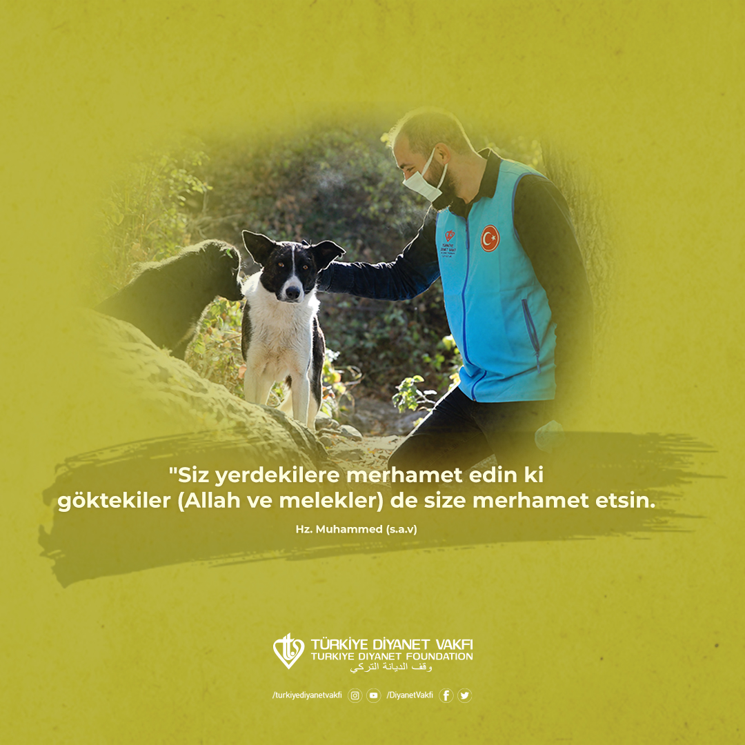 Allah’ın yarattığı her bir canlı, O’nun bir emaneti, kâinat ailesinin kıymetli bir ferdidir. Merhametsizliği şefkat ve rahmete çevirelim. Asrın vicdanına merhameti yeniden aşılayalım. 

#4EkimHayvanlarıKorumaGünü