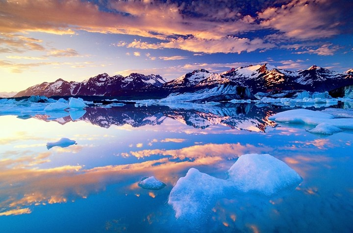 Shamblin Laree (@lareeshamblin) on Twitter photo 