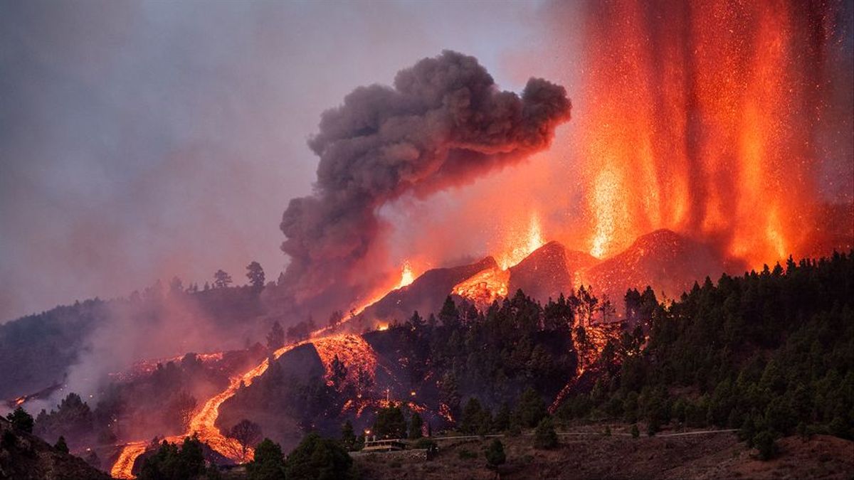 LaPalmaNL's tweet photo. De brute oerkracht van de vulkaan op #LaPalma
https://t.co/XBtEdzX2Dz
Foto: Abián San Gil https://t.co/a1Ktpuemew