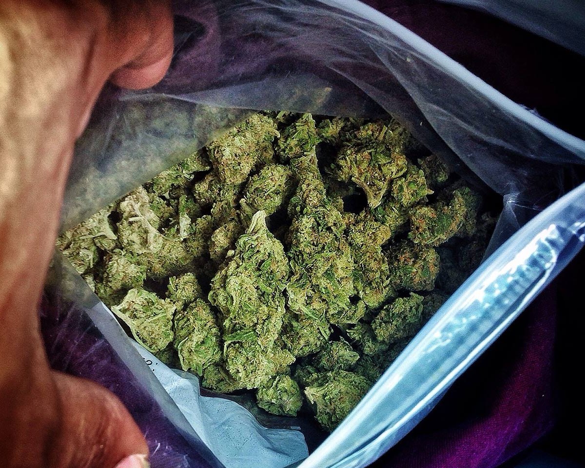 BudBabexoxo's tweet photo. the original photo lol @MonsterBudsNFT @gtumolo https://t.co/JtcUTgerT0