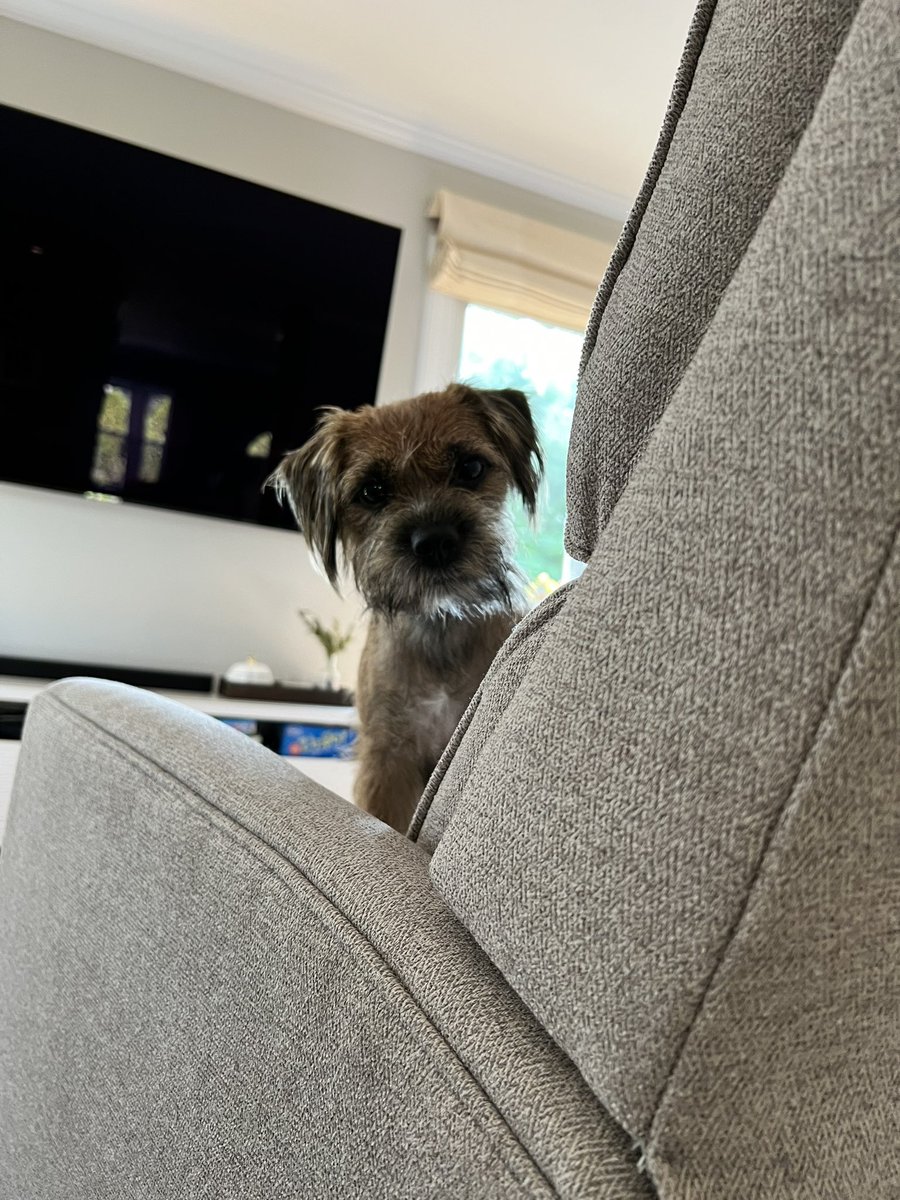 Yez, wot? May I helps you? #BTPosse