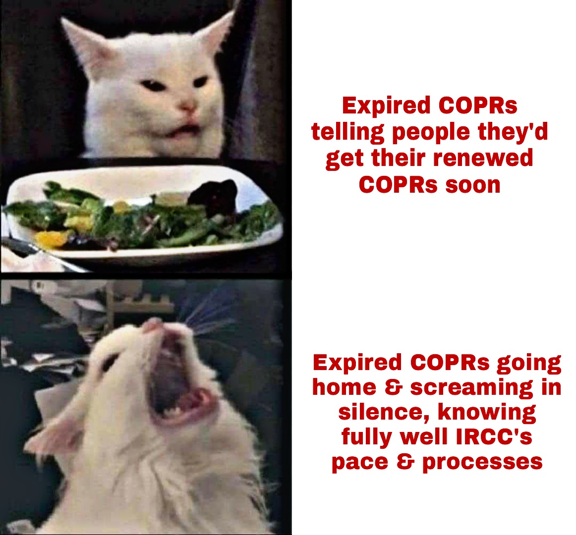 🇮🇳 RENEW EXPIRED COPR 🇨🇦 tweet media