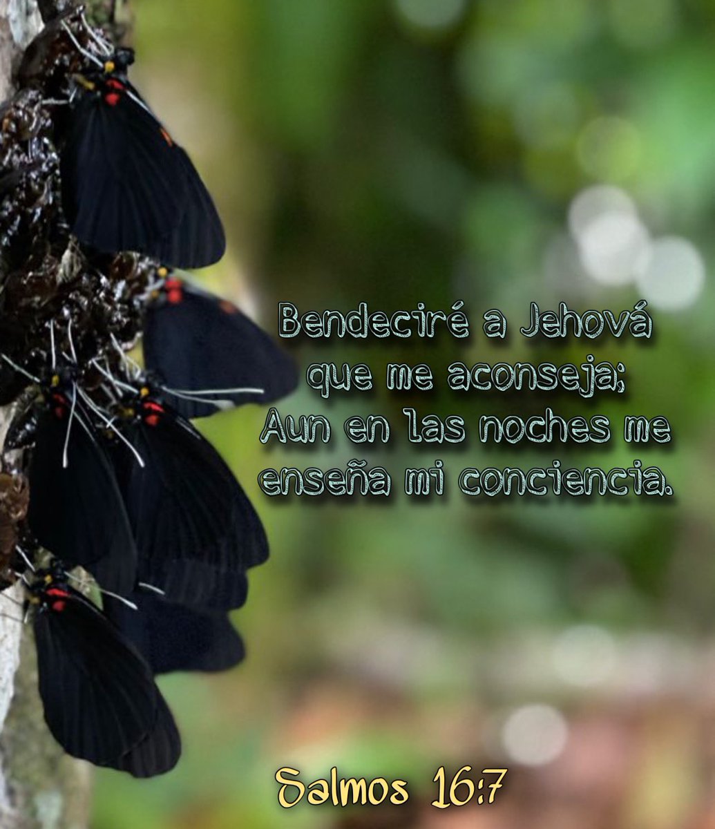genDios's tweet photo. 🙏🏽 https://t.co/GYUnB4nwpy
