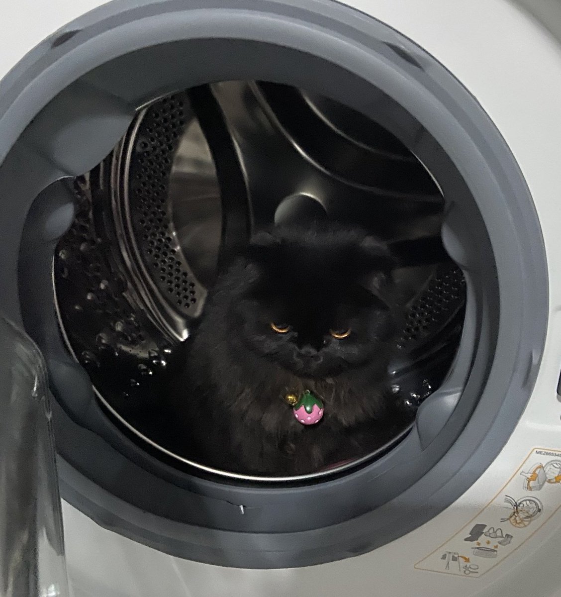 ผ่านไป 1 ปีเองนะ