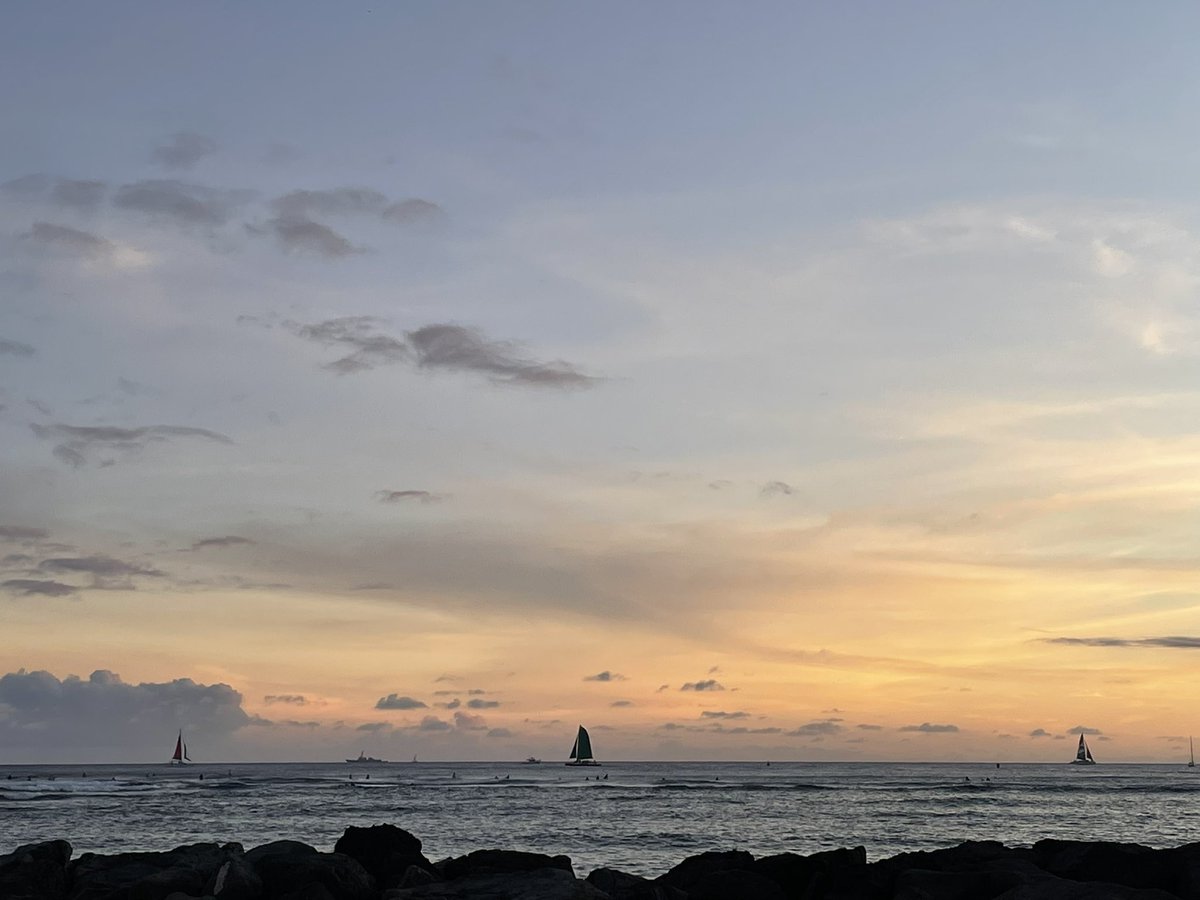 Dr. Cindy 🌮🦋 tweet media