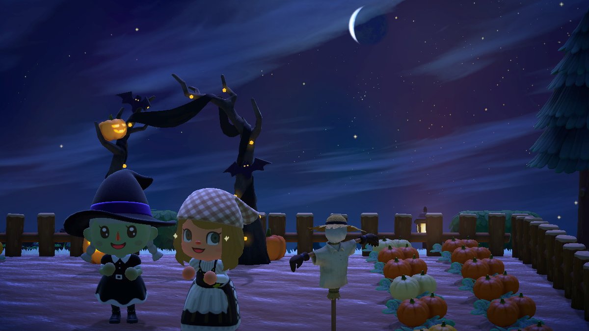 kdmaree_'s tweet photo. @_amy_182_ <3  #AnimalCrossing #ACNH #NintendoSwitch https://t.co/5DsXRPwQzA