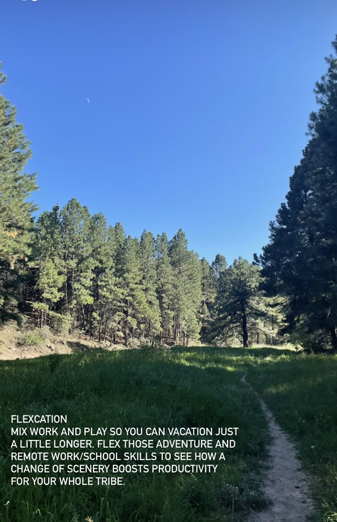 HoofHaus's tweet photo. #flexcation where work and play come to party! 📸 Flagstaff https://t.co/3tKAkTkEHV