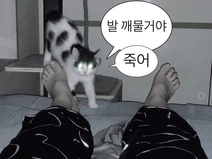 영원히 누워있고싶다네.... 