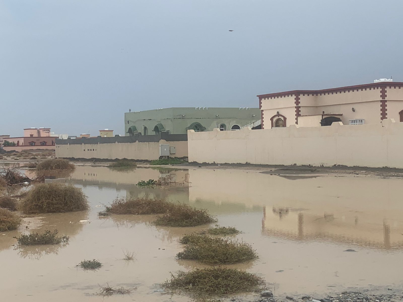 الصورة