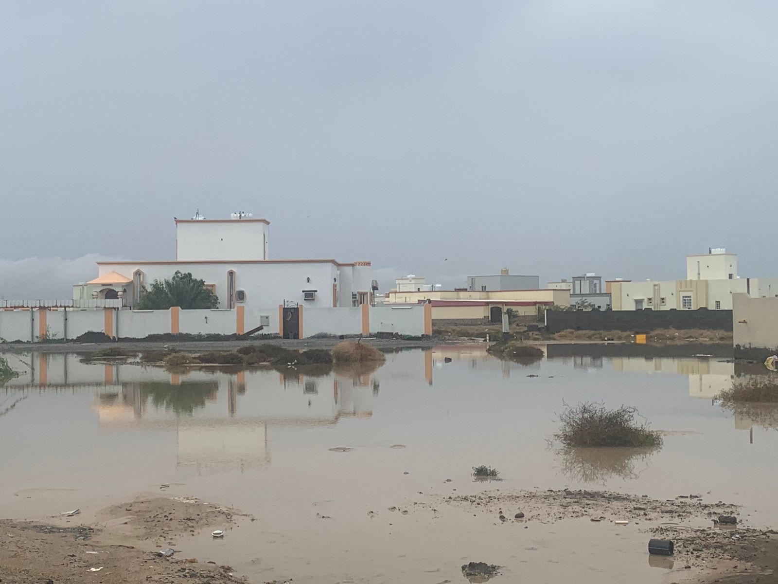 الصورة