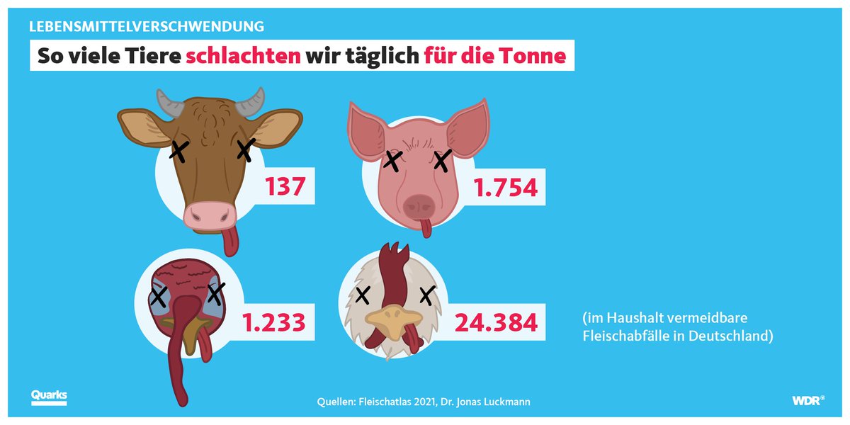 Jeden Tag schlachten wir Tiere nur für die Mülltonne. Pro Jahr sind es 8,9 Millionen Hühner, 640.000 Schweine, 450.000 Puten und 50.000 Rinder.