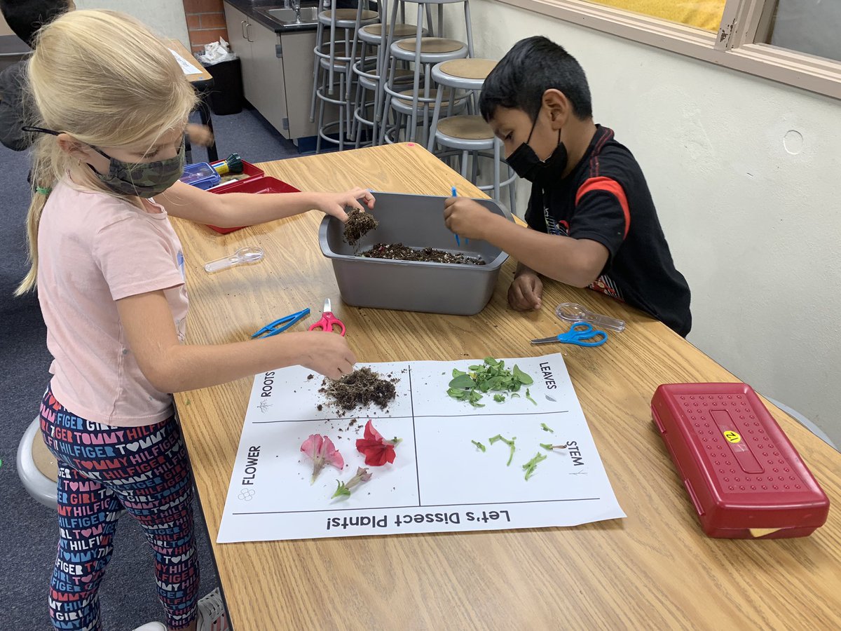 Rachel Estacion tweet media