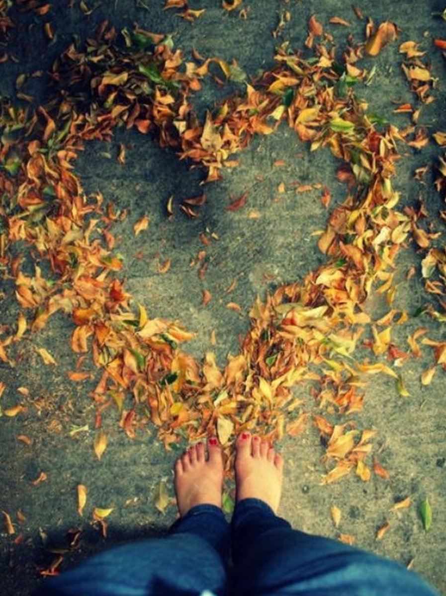 Riflessionidi#casalettori”Oggi mi sono svegliato fuori di me e sono uscito a cercarmi...Conversando con la nebbia,cercando di dimenticare quello che non posso.Ai miei piedi solo 🍁 “AK ABAL HUMBERTO