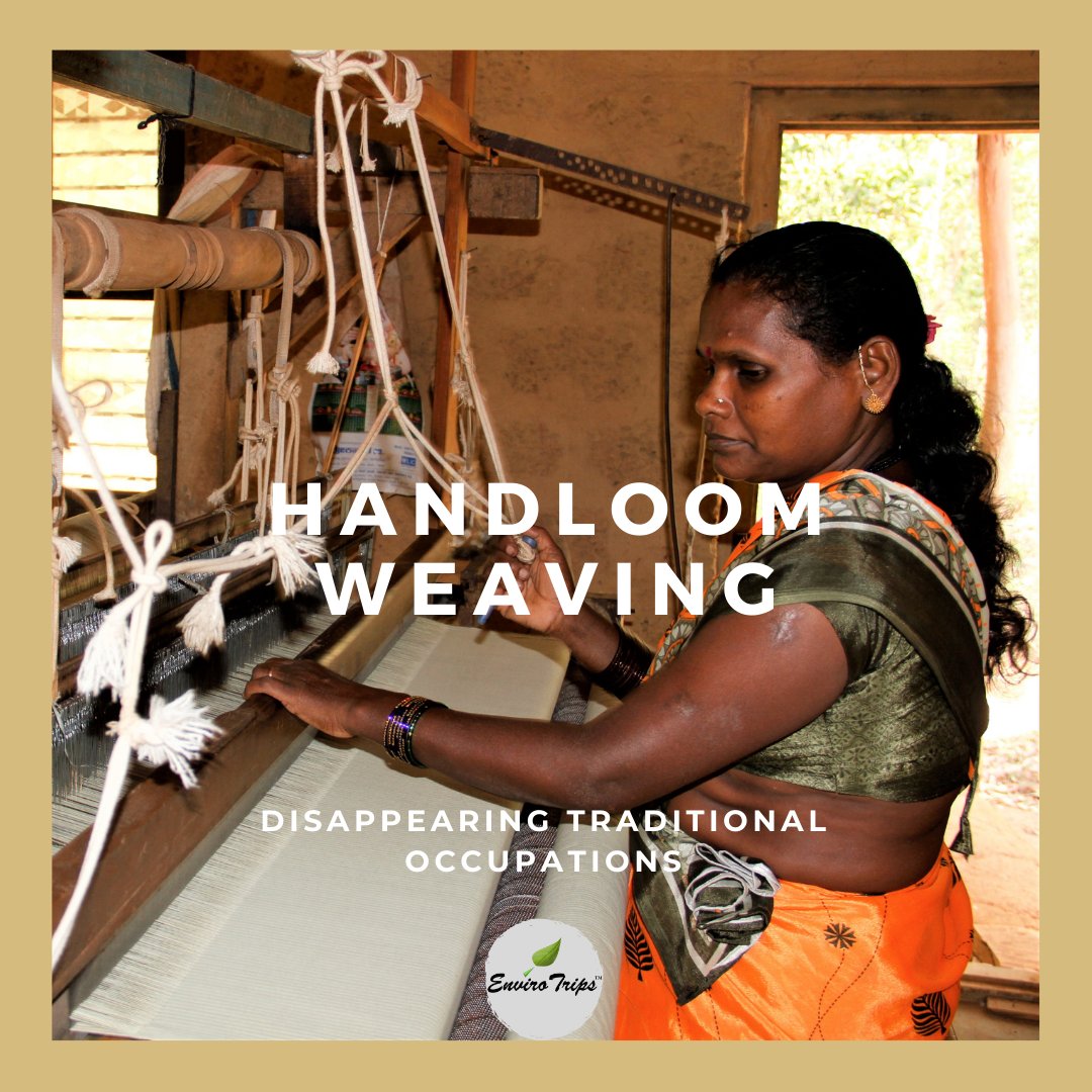 ENVIRO_TRIPS's tweet image. HANDLOOM WEAVING:

• Handloom weaving is present mostly in rural areas and is primarily a household activity.

• Handloom weaving is spread across many states in the country and is in considerable decline in some of them.

#handloomweaving #dyingoccupation #savehandloom